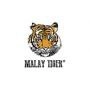 Malay Tiger