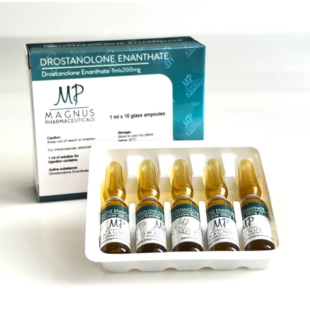 Мастерон енантат Магнус ампули (Drostanolone Enanthate Magnus) 200мг 1мл